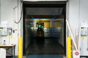 Commercial Movers in Abu Dhabi